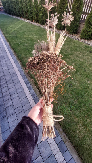 Sznurek Jutowy Naturalny Ekologiczny 100% Juta Ozdobny Pakowy 50m 2mm